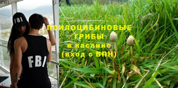 каннабис Дмитров