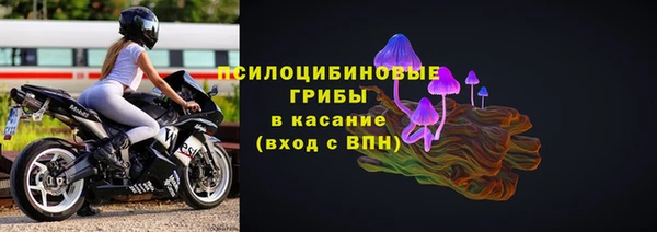 винт Дмитриев