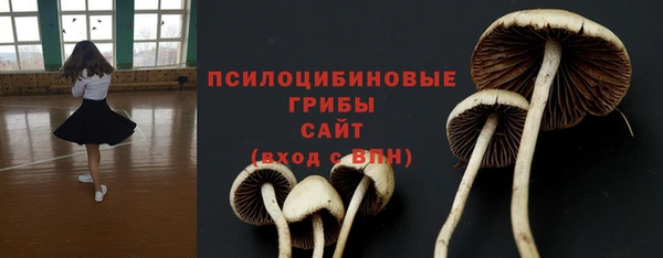 каннабис Дмитров