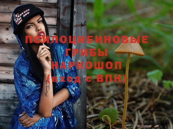 винт Дмитриев