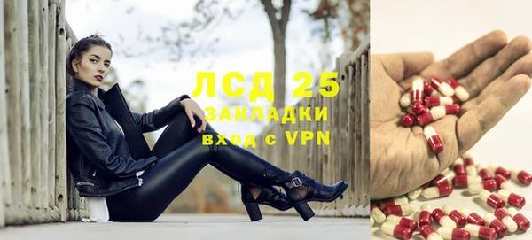 винт Дмитриев