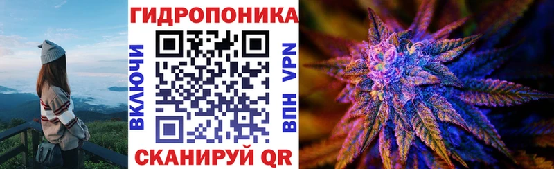 Купить закладки  Абакан  Бошки Шишки Amnesia 